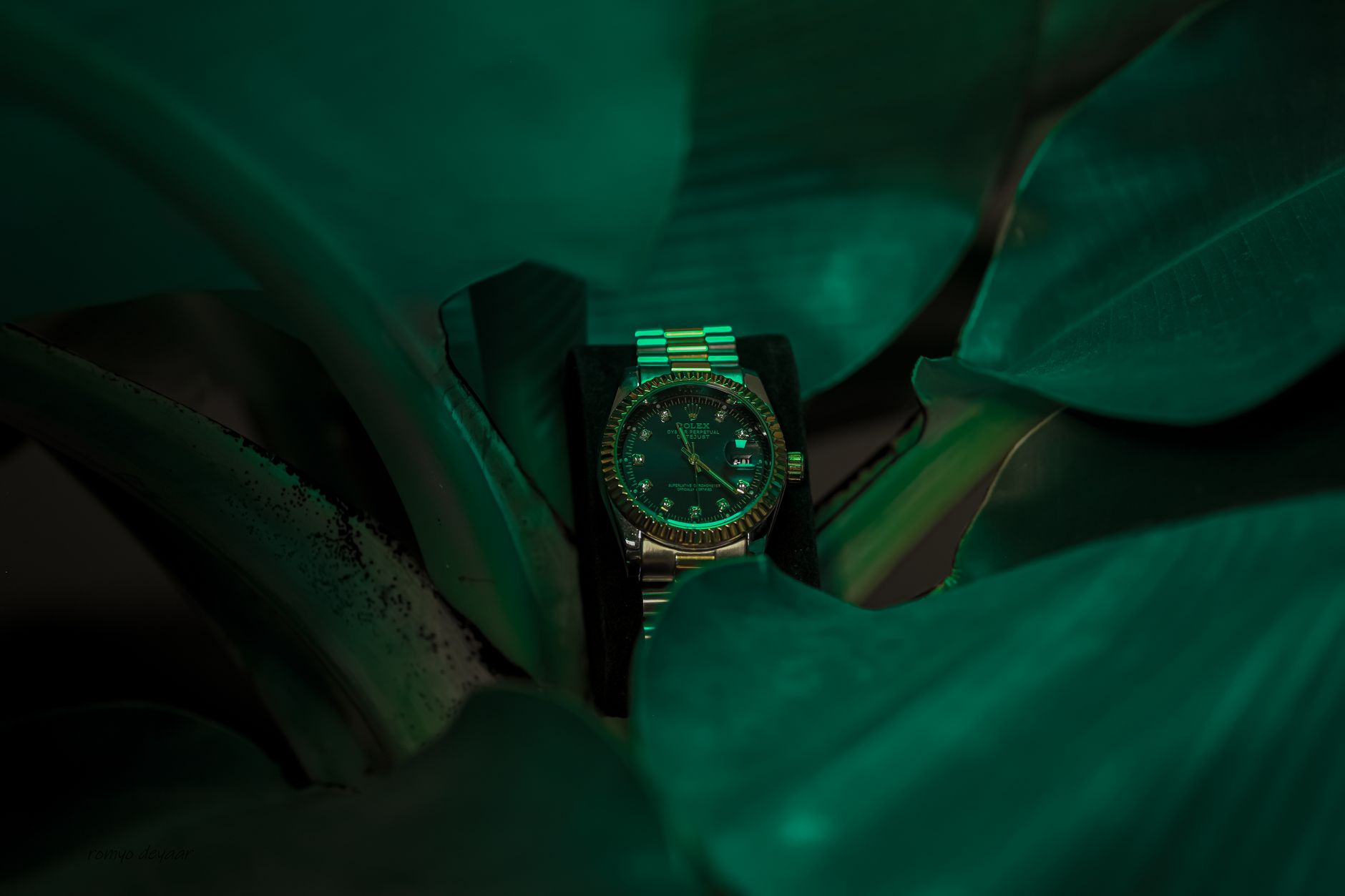 A stainless steel dive watch with a black bezel resting on a wooden display tray